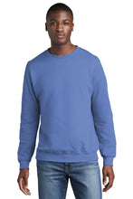 Core Fleece Crewneck Sweatshirt / Carolina Blue / Parkway Elementary School