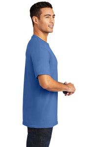 Garment-Dyed Tee / Blue Moon / College Park Elementary