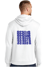 Core Fleece Pullover Hooded Sweatshirt / White / Princess Anne High School Seniors