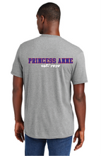 Reunion Softstyle Triblend Tee / Heather Grey / Princess Anne High School