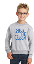 Core Fleece Crewneck Sweatshirt (Youth & Adult) / Ash / Star Of The Sea