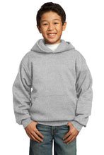 Lions Fleece Hooded Sweatshirt / Ash Gray / Larkspur Wrestling - Fidgety