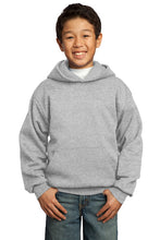 NICU Brother Hooded Sweatshirt / Ash Gray / CHKD NICU - Fidgety