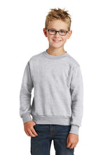 NICU Parents Crew Neck Sweatshirt / Ash Gray / CHKD NICU - Fidgety