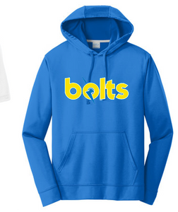 Performance Hooded Sweatshirt Youth Adult Royal Alanton