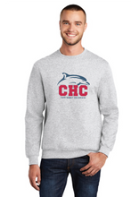 Core Fleece Crewneck Sweatshirt (Youth & Adult) / Ash / Cape Henry Collegiate