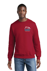 Core Fleece Crewneck Sweatshirt (Youth & Adult) / Red / Cape Henry Collegiate