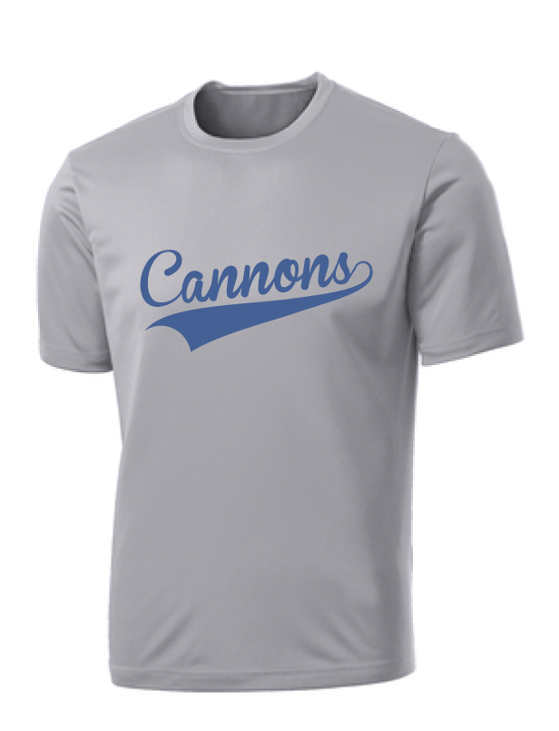 Performance Tee (Youth & Adult) / Silver / Coastal Cannons - Fidgety