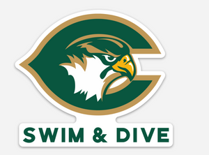 Magnet / Cox High School Swim & Dive