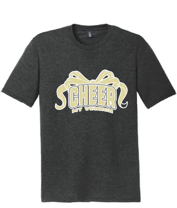 Softstyle TriBlend Tee / Heathered Charcoal / Mt Vernon Cheer