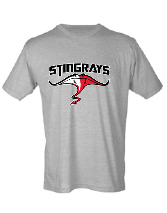 Unisex Soft Style T-Shirt / Heather Gray / Stingrays Swim Team - Fidgety